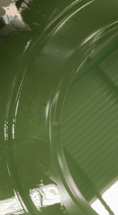 Barnices Venezolano, C.A